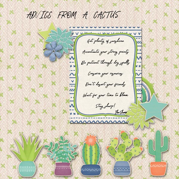 Cactus Advice
