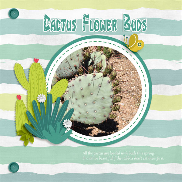 Cactus buds - scraplift