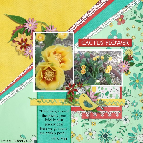 Cactus Flower