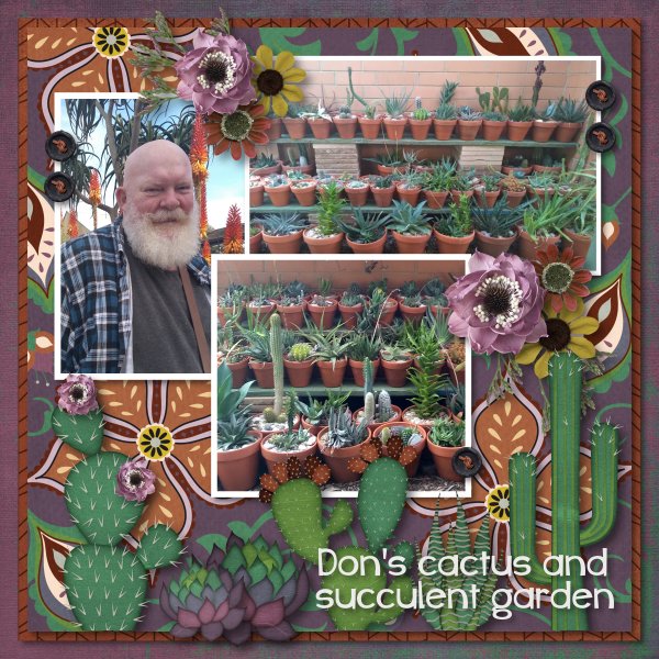cactus garden