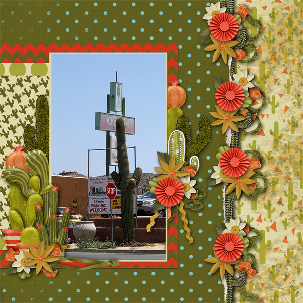 Cactus Garden