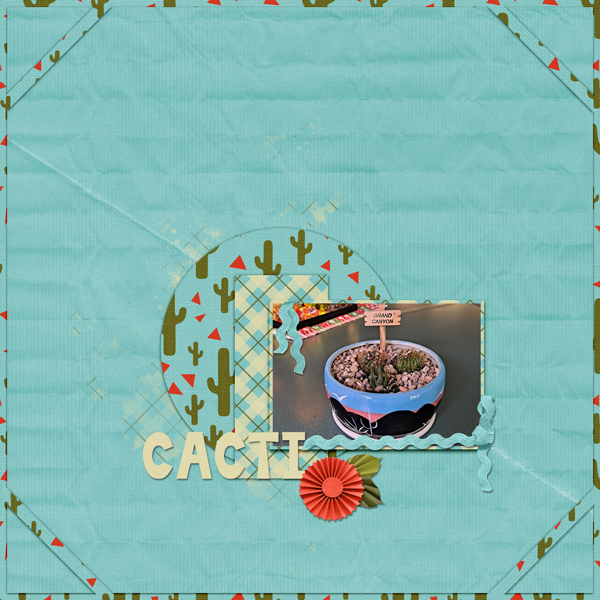 Cactus Garden