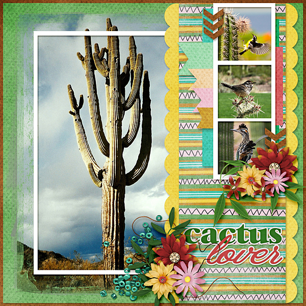 Cactus Hotel