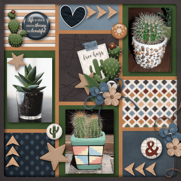 Cactus Life