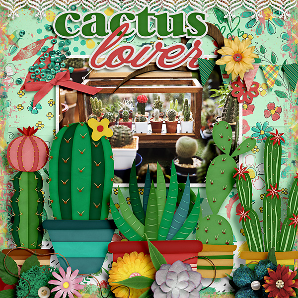 Cactus Lover
