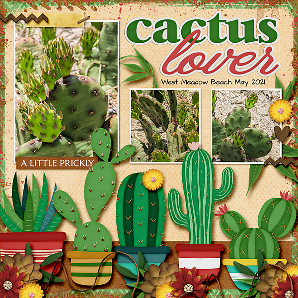 Cactus Lover