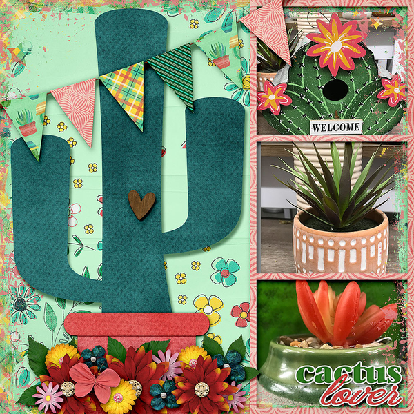 Cactus Lover
