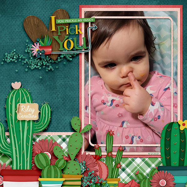 Cactus Lover