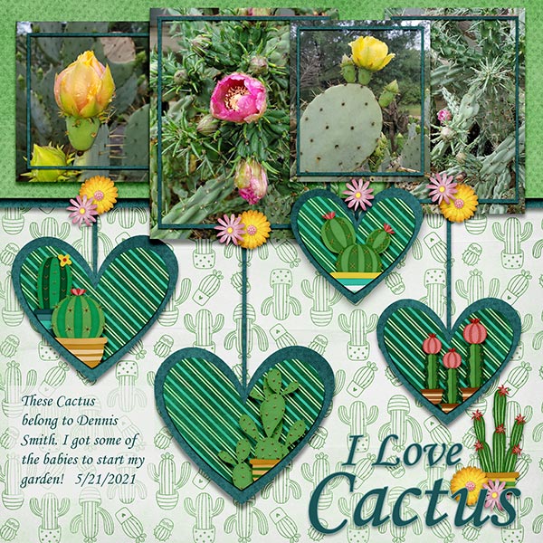 Cactus Lover
