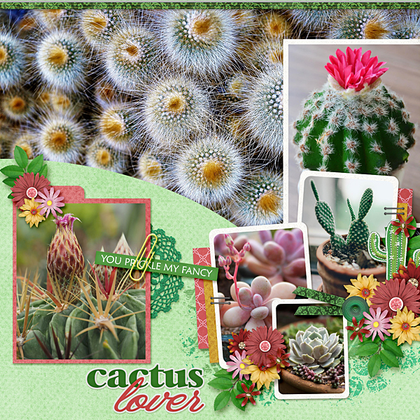 Cactus Lover