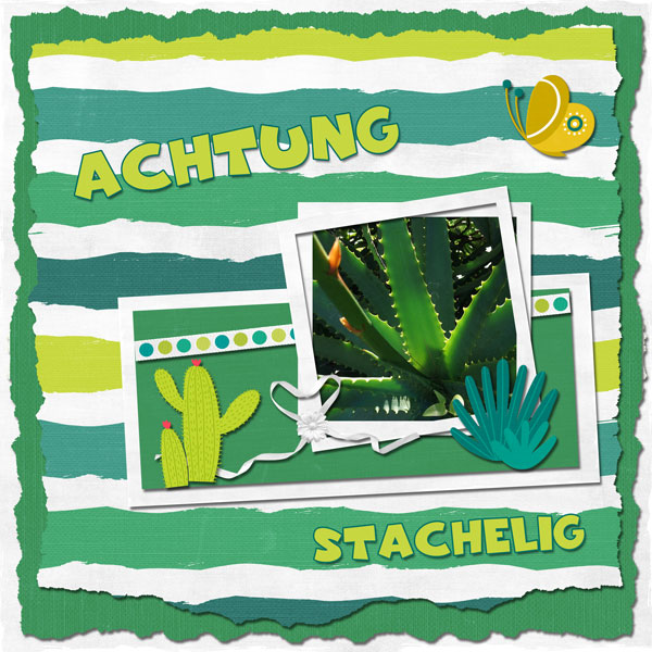 cactus