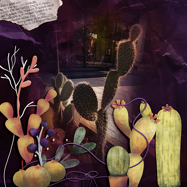 Cactus