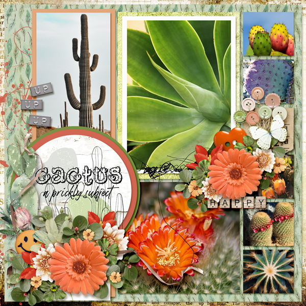 Cactus