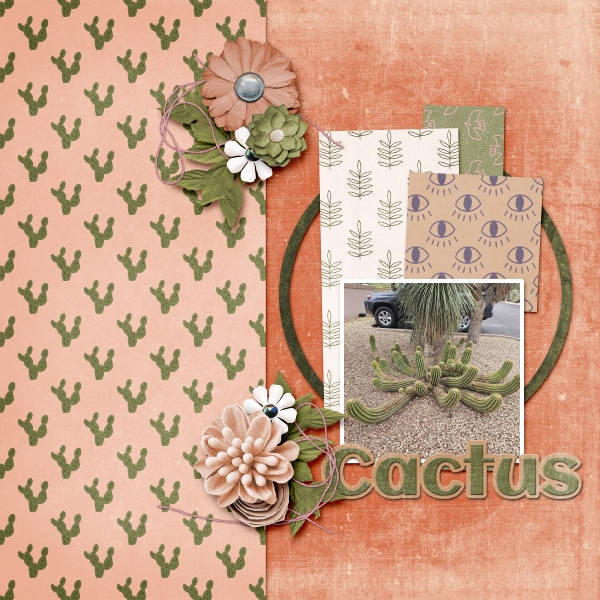 Cactus