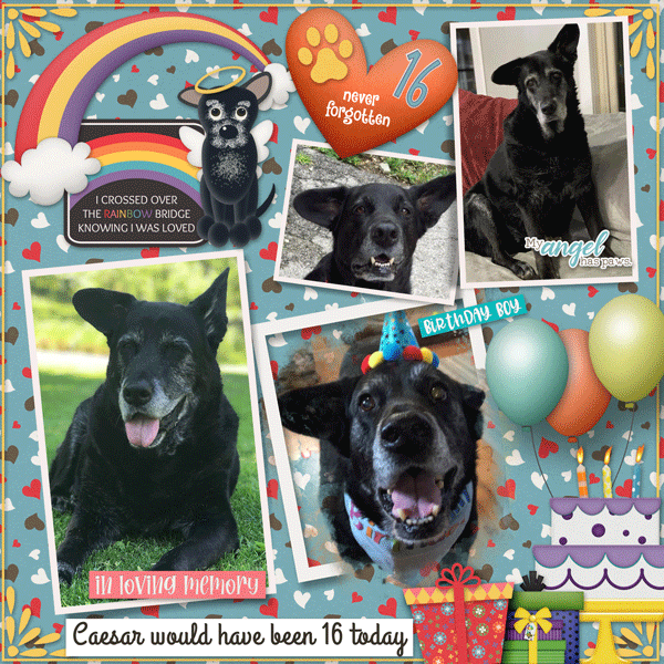 Caesar at the Rainbow Bridge