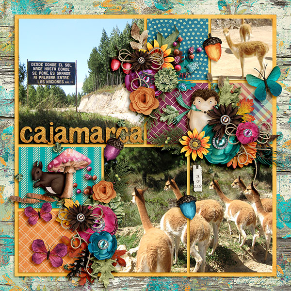 cajamarca
