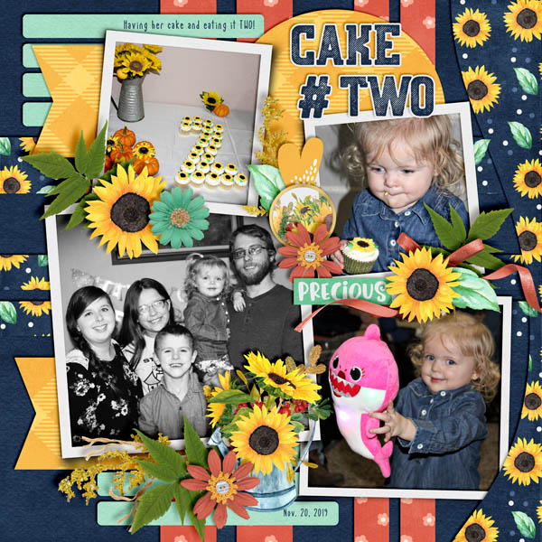 Cake # Two