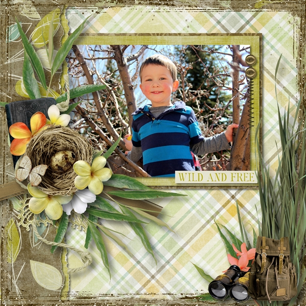 Caleb in a Tree