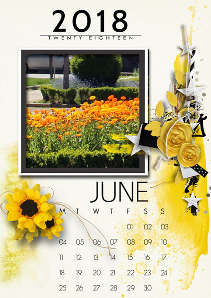 Calendar 2018