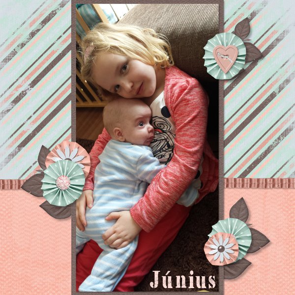 Calendar page June