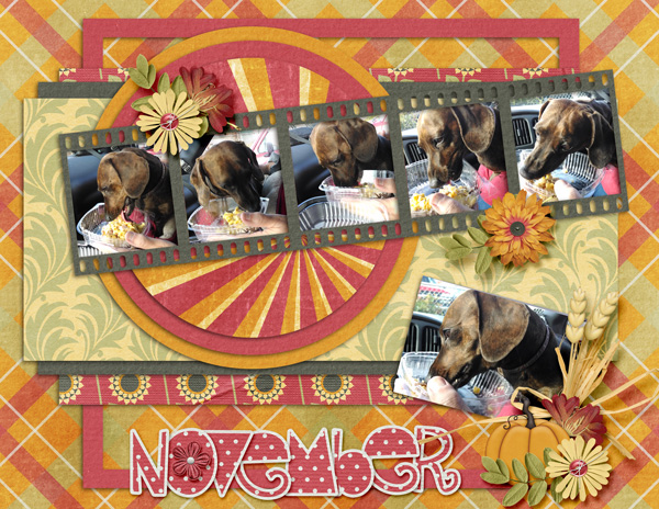 Calender Project Nov 2015