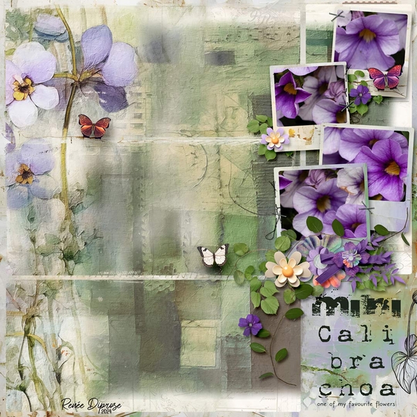 Calibrachoa