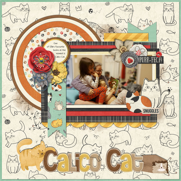 Calico Cat