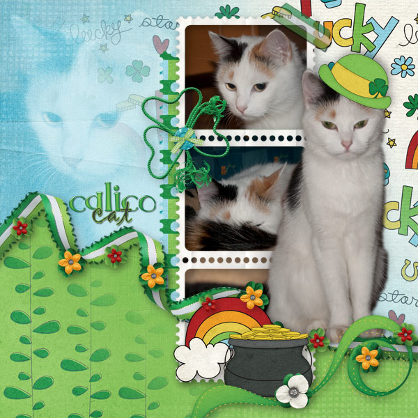CalicoCat