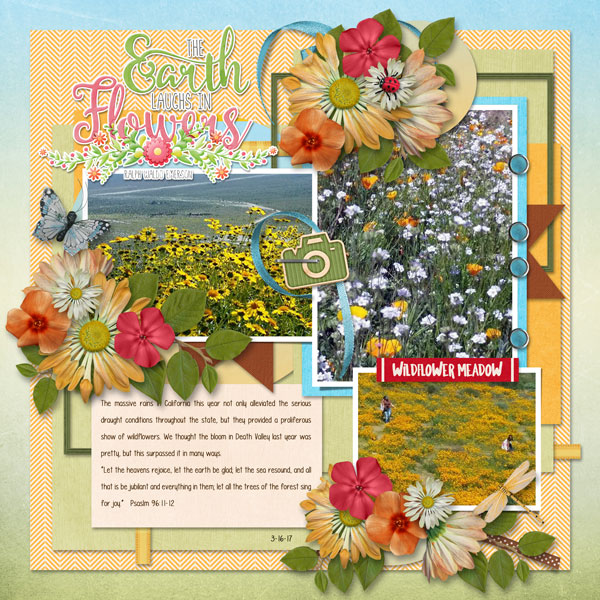 California Bloom