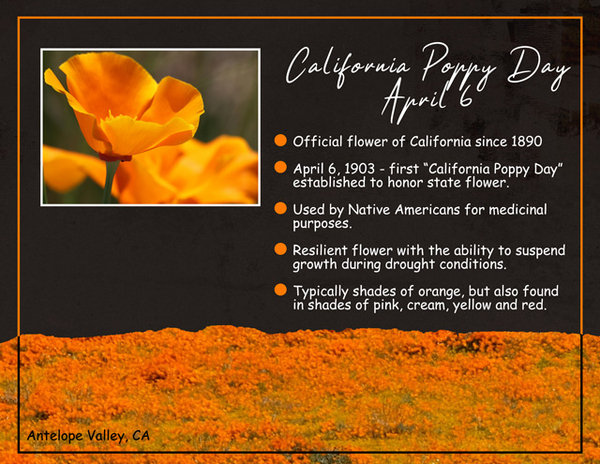 California Poppy Day