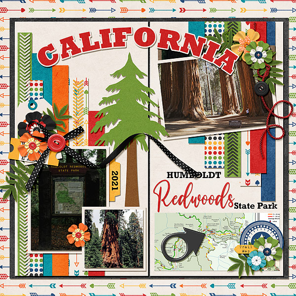 California Redwoods