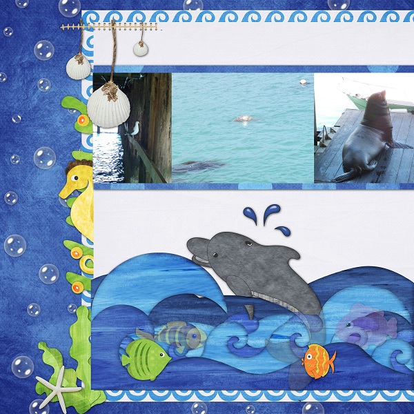 California Sea Creatures
