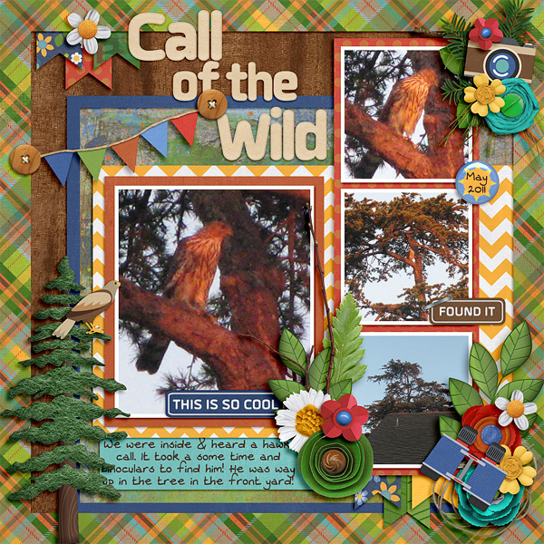 Call of the wild