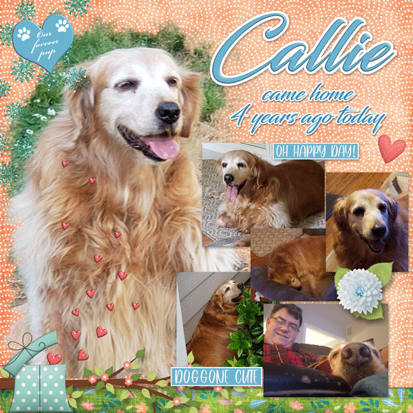 Callie