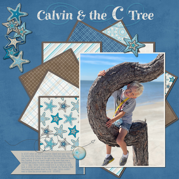 Calvin + the C Tree