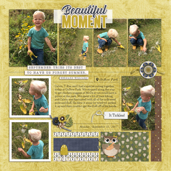 Calvin + the Oxbow Milkweed Fluff