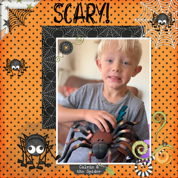 Calvin + the Spider: October Color Challenge