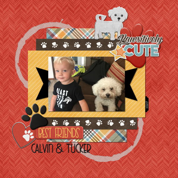 Calvin + Tucker 1-22-17