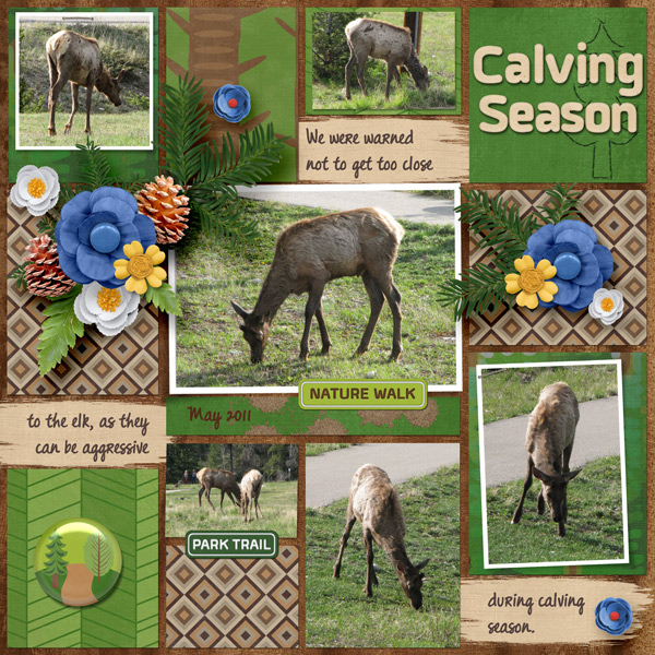 Calving Season
