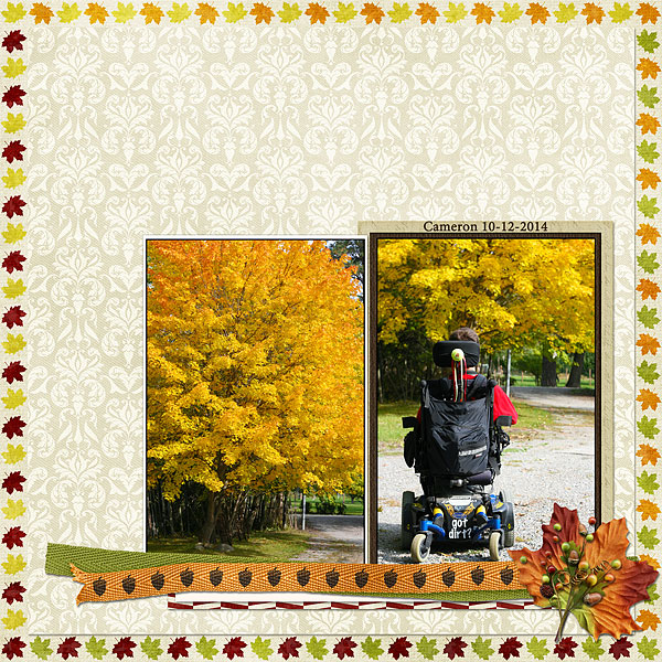 Cam Fall 10-12-2014