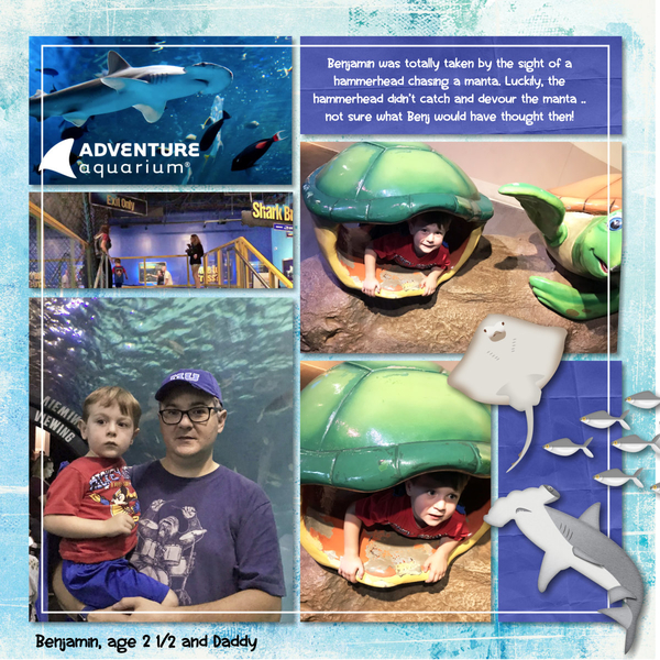 Camden Aquarium