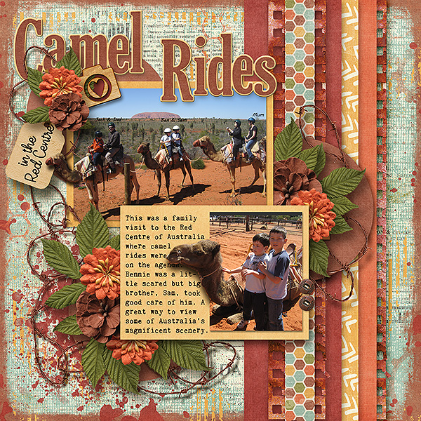 Camel Rides in the Red Centre