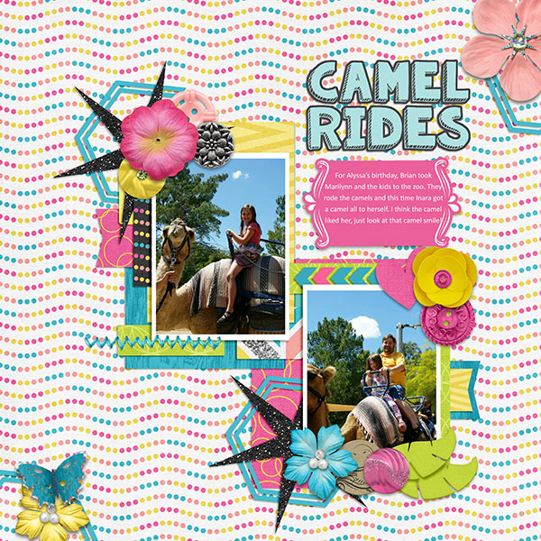 Camel Rides