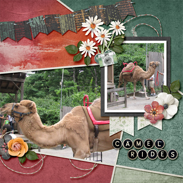Camel Rides