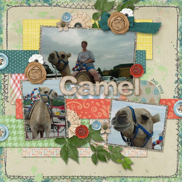 Camel