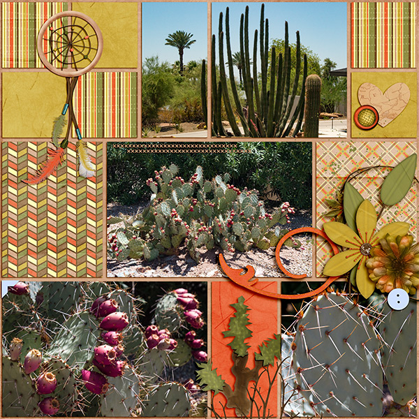 Camelback cactus_R