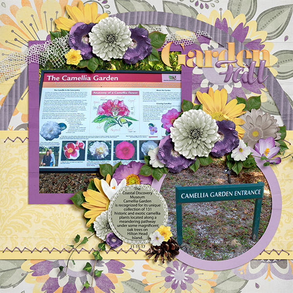 Camellia Garden