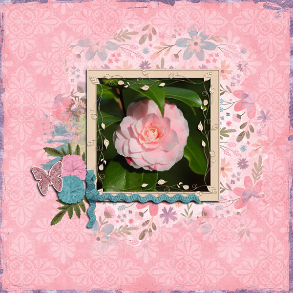Camellia