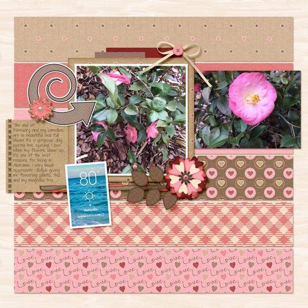 camellias