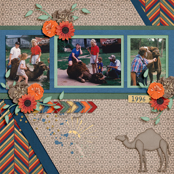 Camels